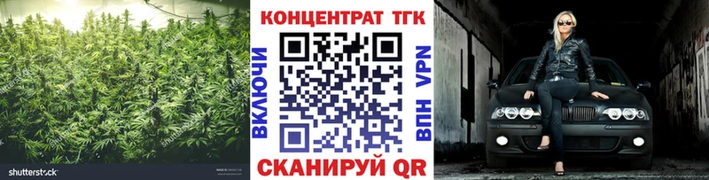 ТГК концентрат  дарнет шоп  Камышин 