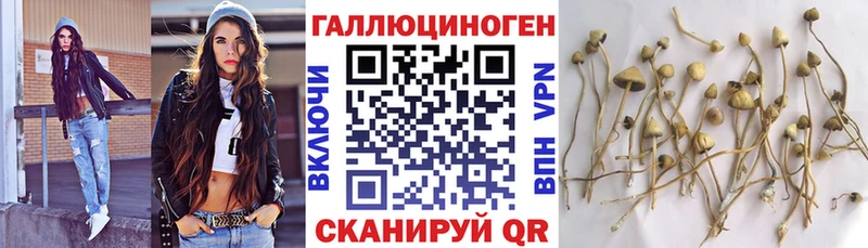 Галлюциногенные грибы мухоморы где найти Камышин